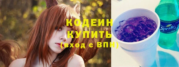 прущий лед Бородино