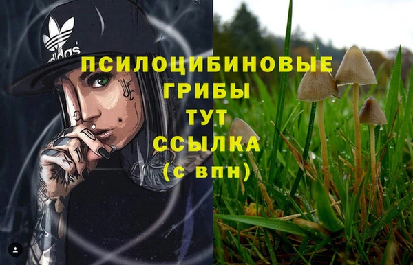 ECSTASY Бугульма