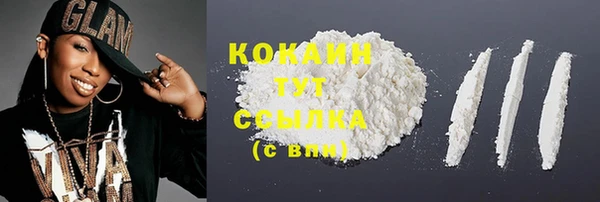 прущий лед Бородино