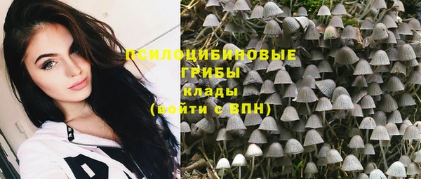 прущий лед Бородино