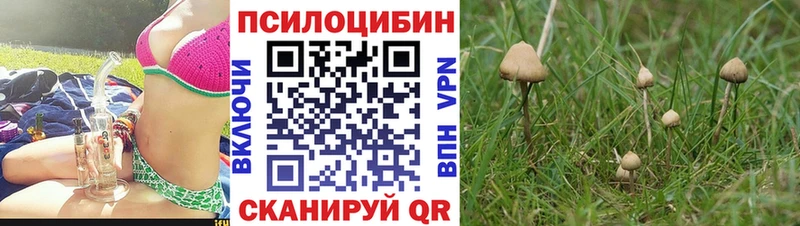 Галлюциногенные грибы мицелий  хочу   гидра   Нея 